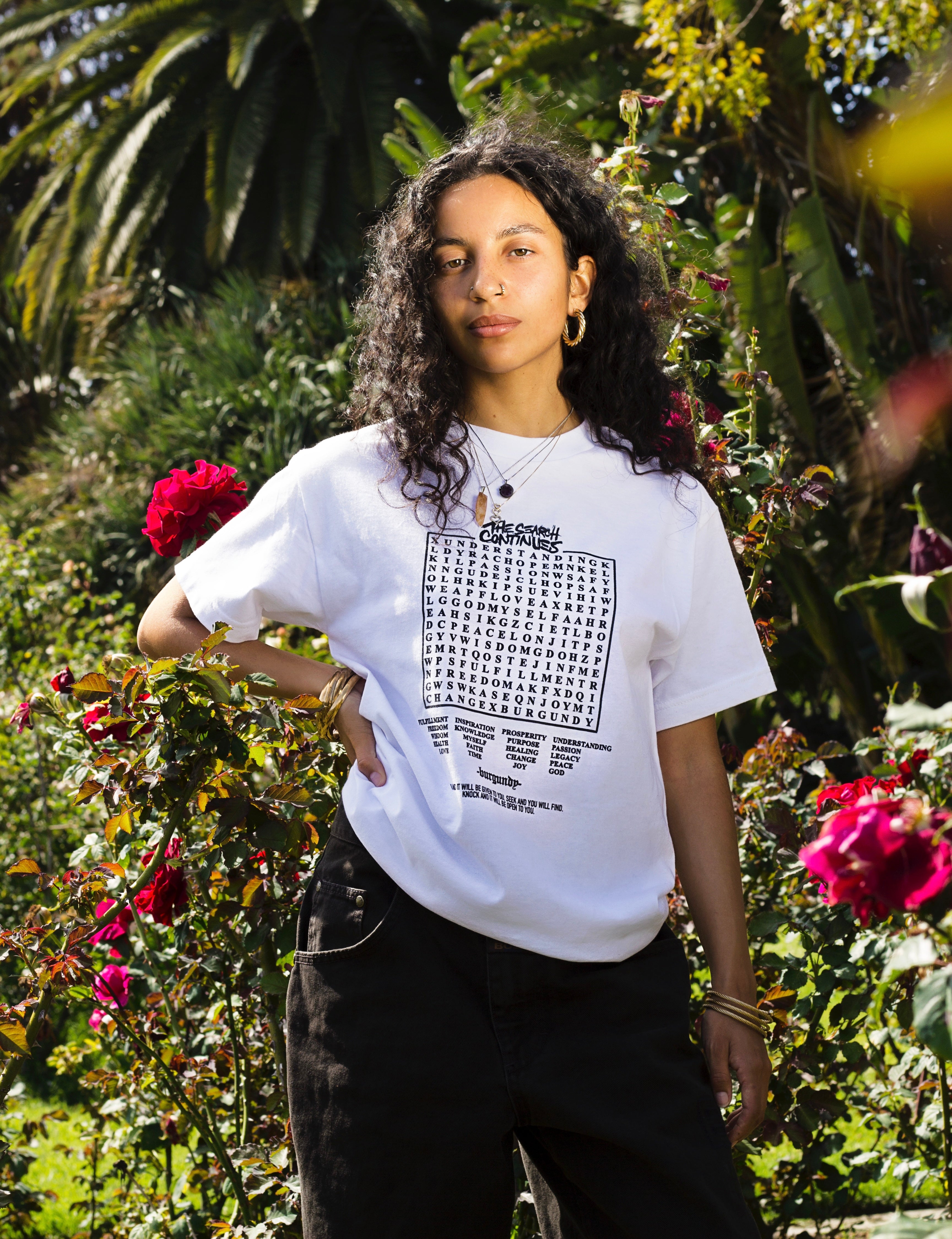 THE SEARCH CONTINUES (T-SHIRT)